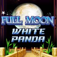 Full  Moon  White  Panda