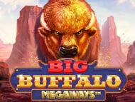 Big  Buffalo  Megaways